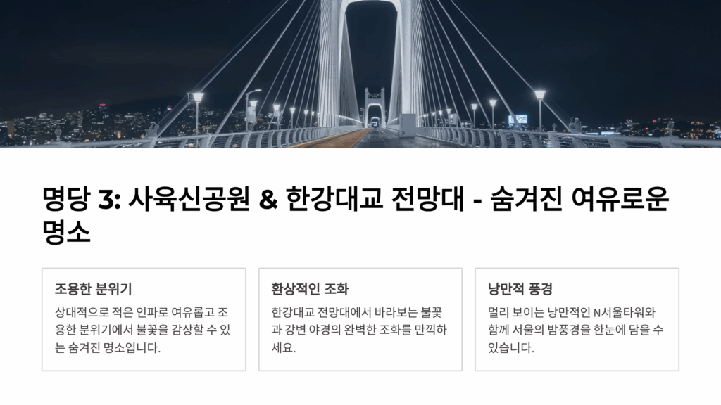 여의도 불꽃축제 명당