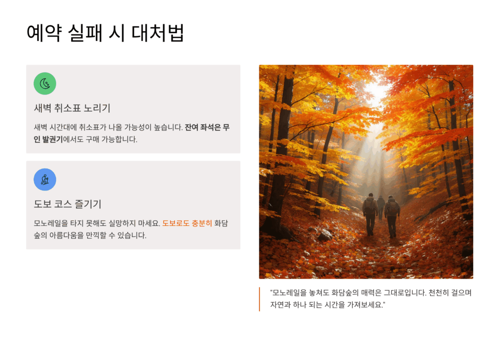 화담숲 모노레일 예약