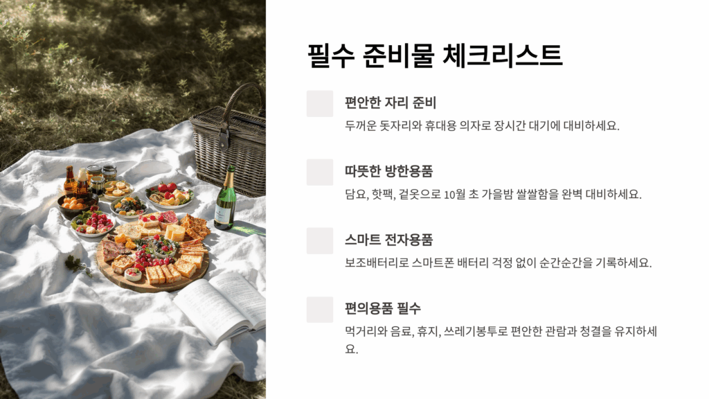 여의도 불꽃축제 명당